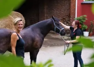 Horse-Assisted-Training fuer Ausbilder*innen