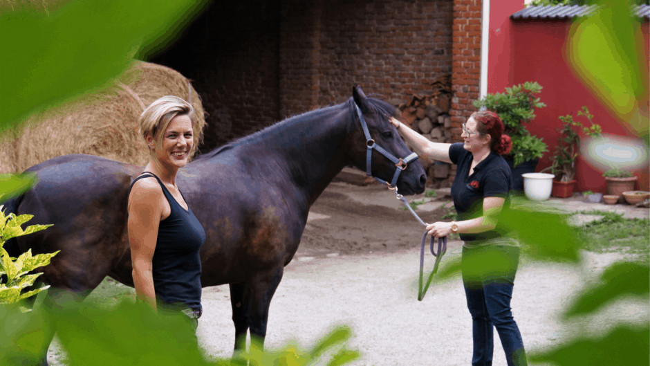 Horse-Assisted-Training fuer Ausbilder*innen