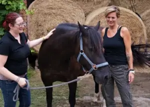 Horse-Assisted Training für Lehrlinge