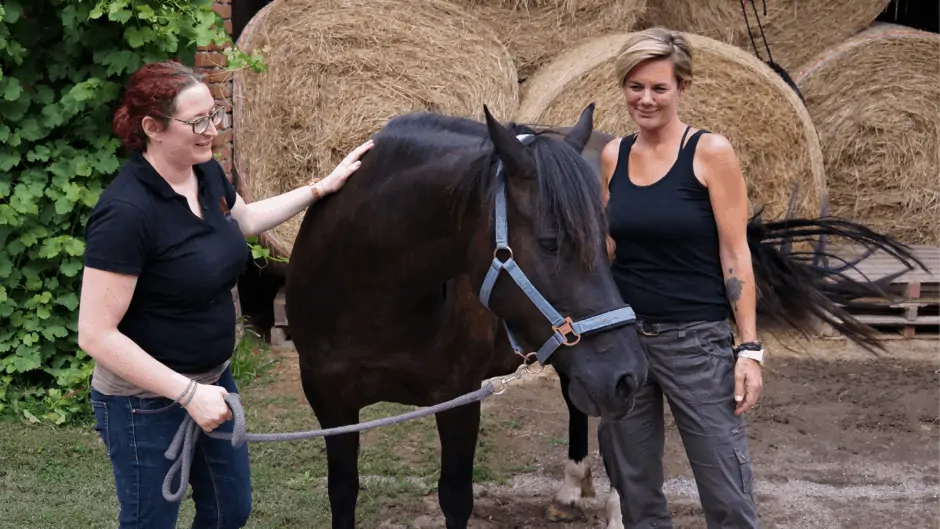 Horse-Assisted Training für Lehrlinge